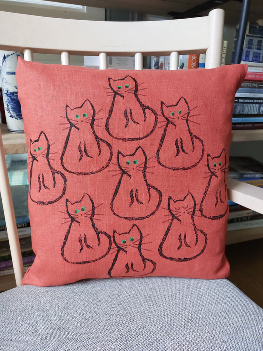 cat cushion marmalade special